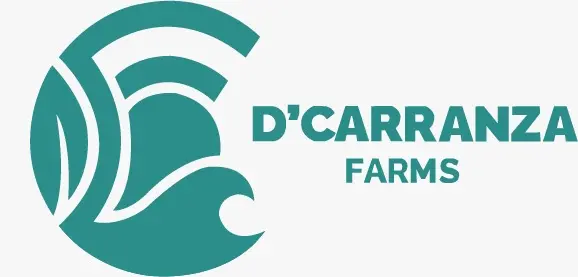 LOGO DCARRANZA . VERDE